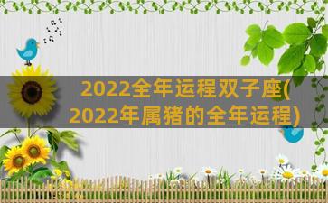 2022全年运程双子座(2022年属猪的全年运程)
