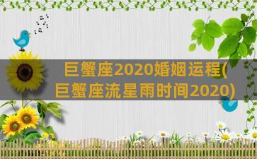 巨蟹座2020婚姻运程(巨蟹座流星雨时间2020)